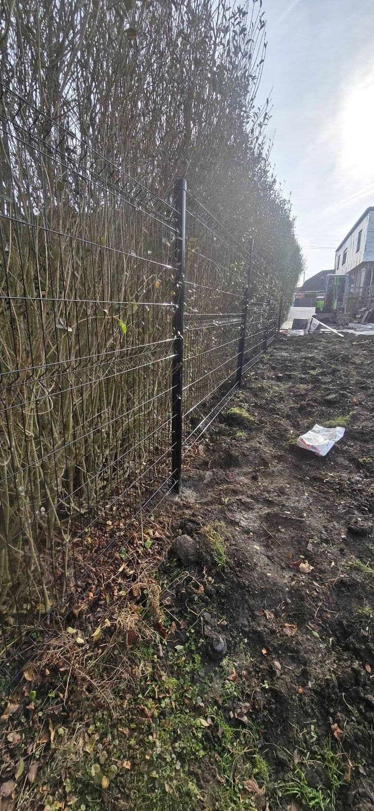 Aménagement complet : parking et jardin — photo du chantier terminé