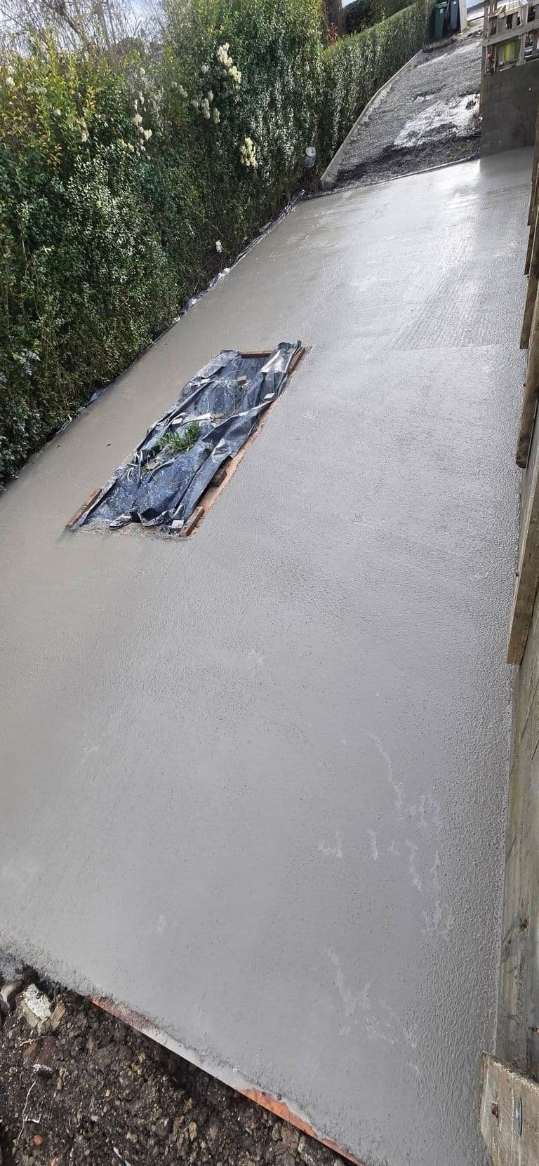 Aménagement complet : parking et jardin — fin de chantier (16)